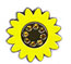 Sun Flower