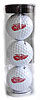 Detroit Red Wings NHL Golf Balls